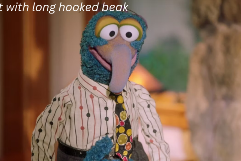 muppet with long hooked beak